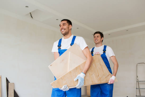 Best Shed Removal  in Berkley, MI