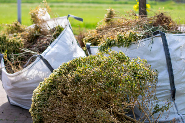 Trusted Berkley, MI Junk Removal Services Experts