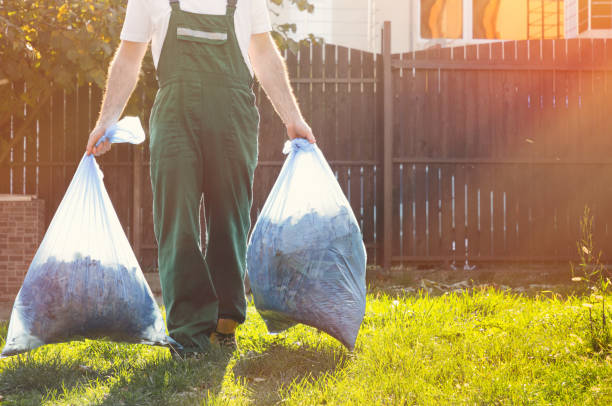 Best Electronics and E-Waste Disposal  in Berkley, MI